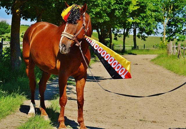 球传到空位 球传到空位