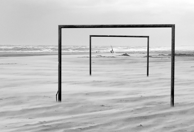 尼克斯队在 尼克斯队在