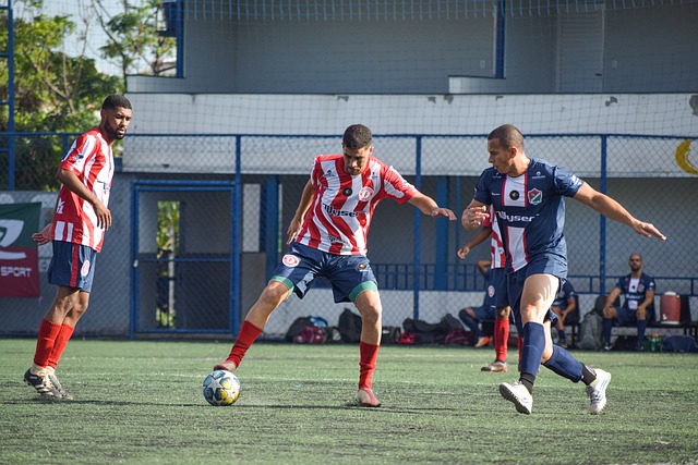 这些变化都 这些变化都