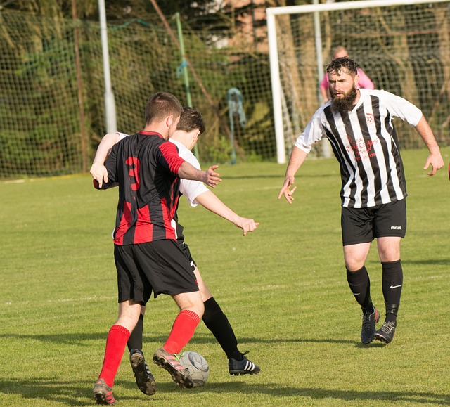 自家青训培 自家青训培