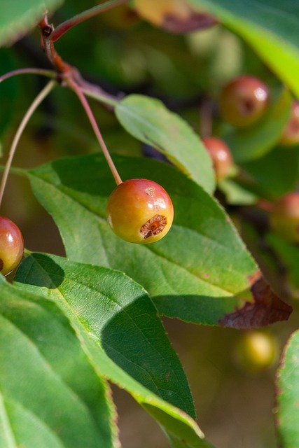 心理素质的 心理素质的