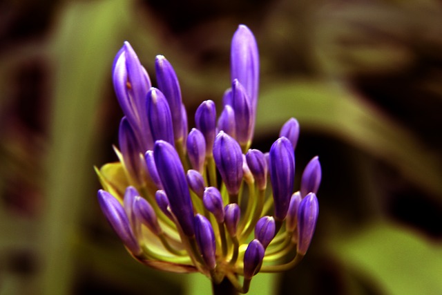 变得稀薄 变得稀薄