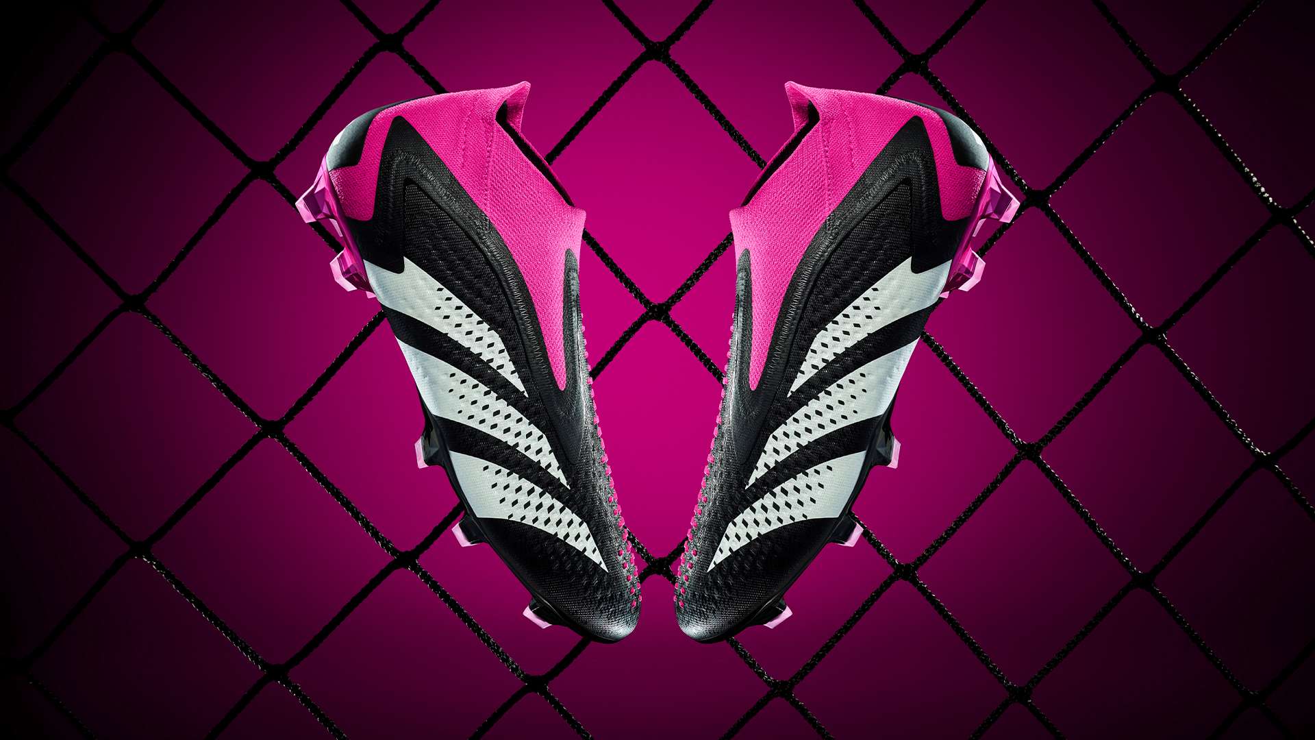 佩萊格里諾 佩萊格里諾