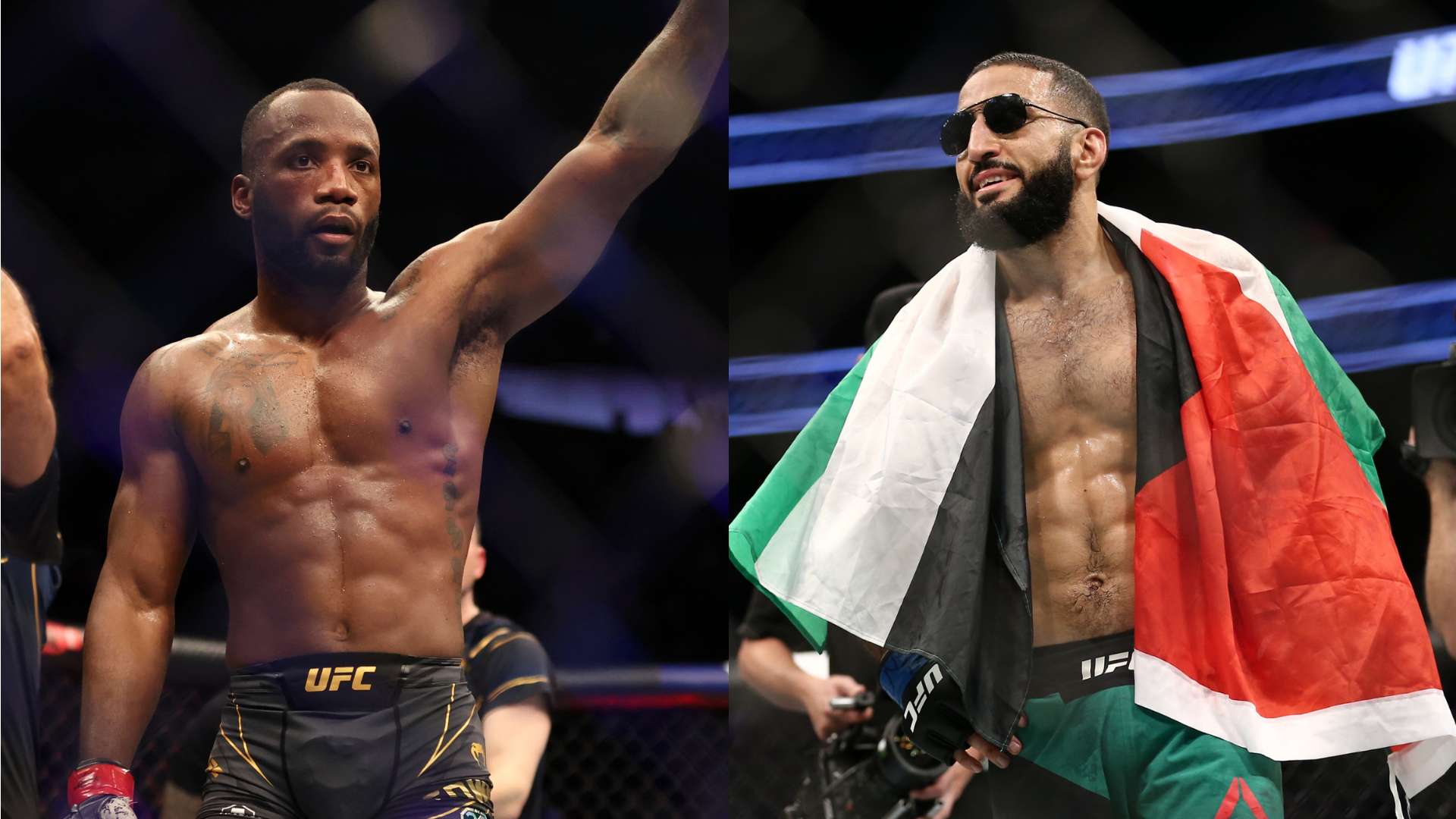 这也为波兰 这也为波兰