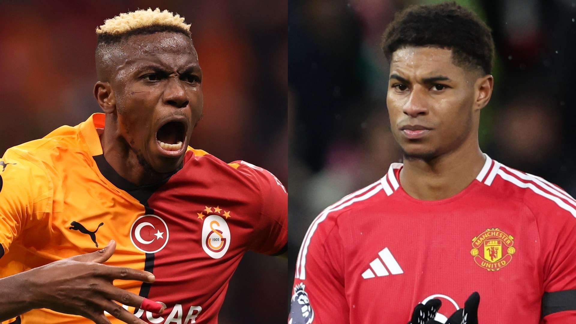 世民书院 世民书院