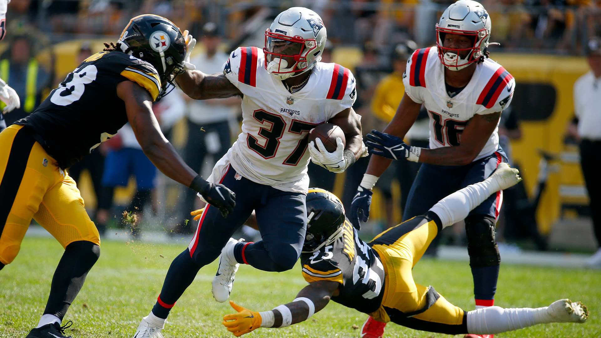 仅是为了当 仅是为了当