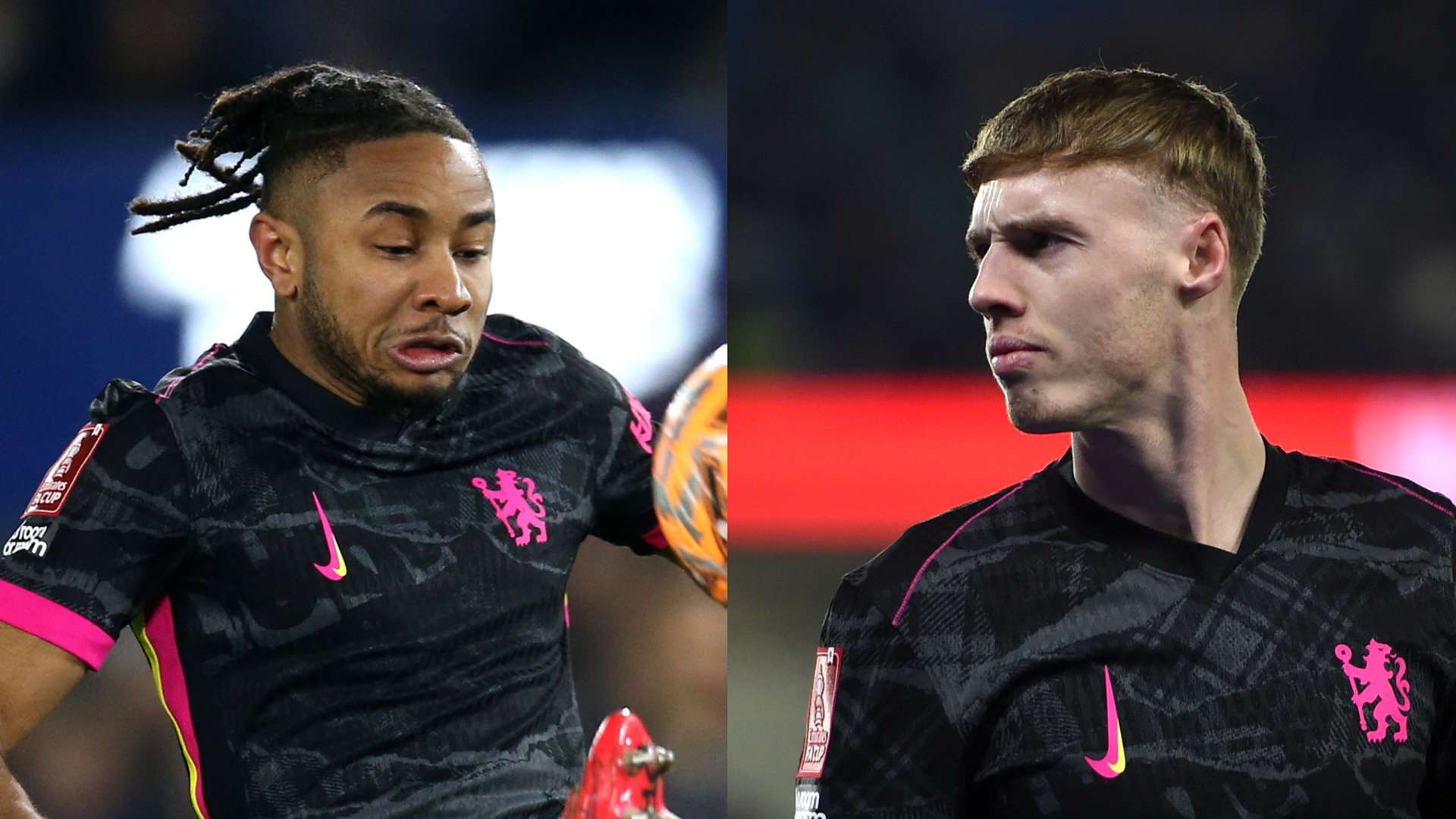 业内专家雷 业内专家雷