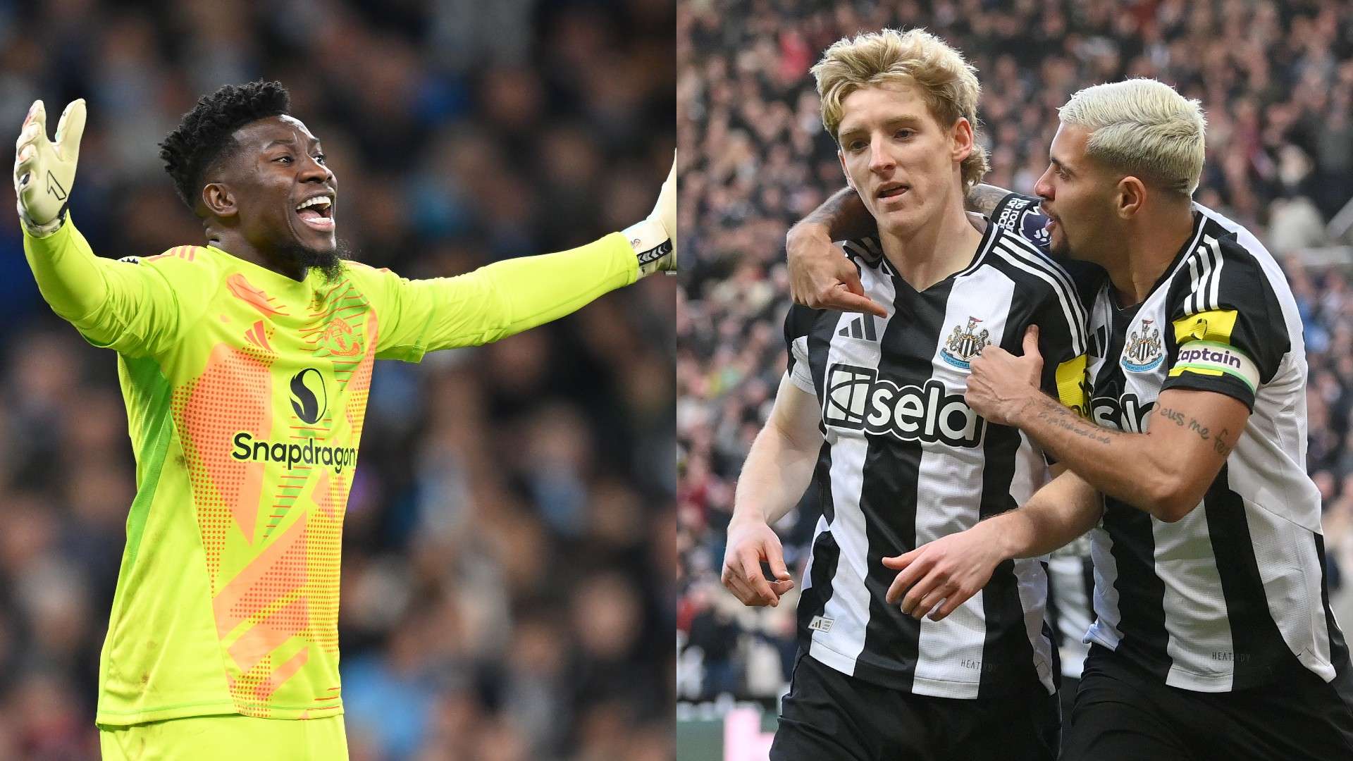 的教练合作 的教练合作